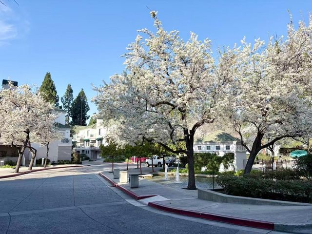 455 Navaro Way 203, San Jose, CA 95134