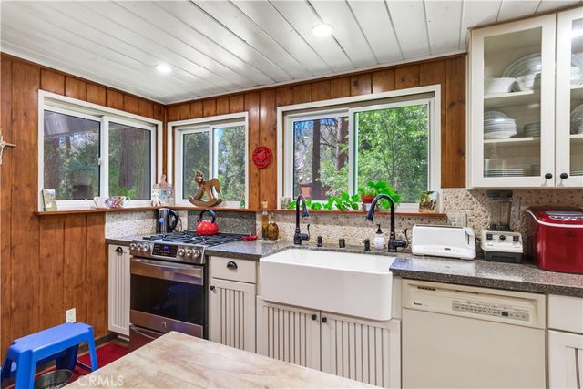 9091 Mountain View Drive, Forest Falls, CA 92339