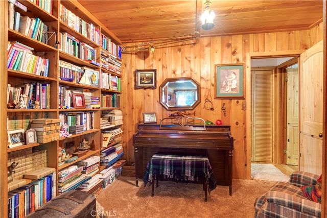 9091 Mountain View Drive, Forest Falls, CA 92339