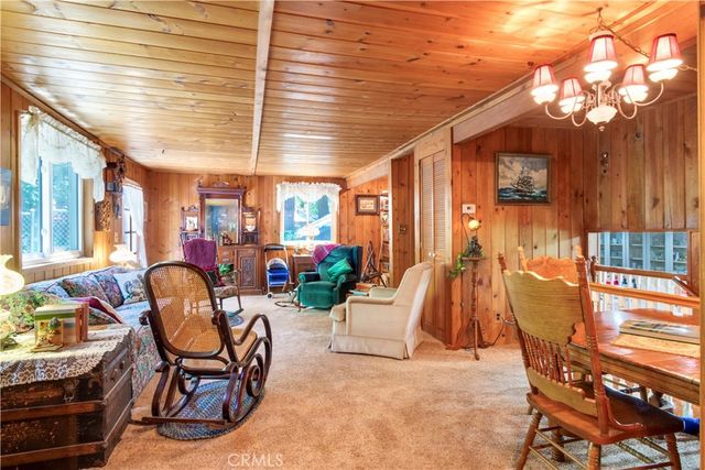 9091 Mountain View Drive, Forest Falls, CA 92339