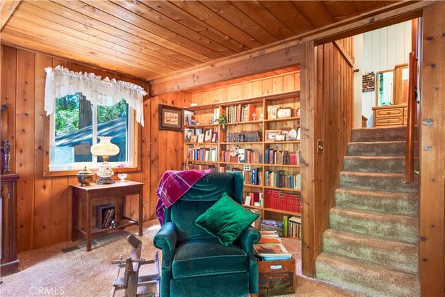 9091 Mountain View Drive, Forest Falls, CA 92339