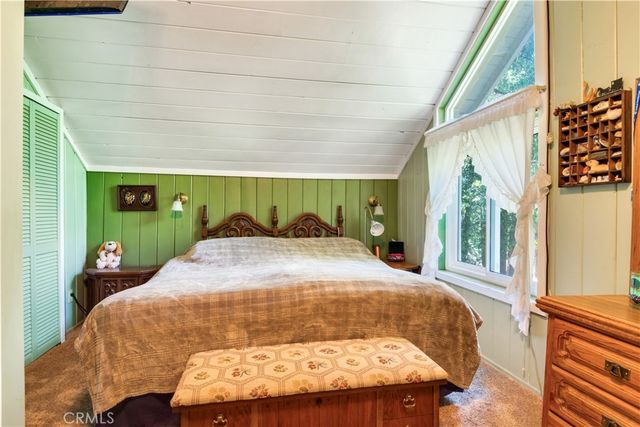 9091 Mountain View Drive, Forest Falls, CA 92339