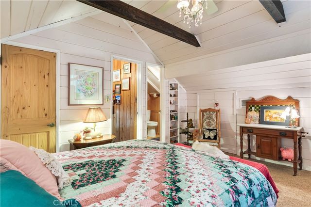 9091 Mountain View Drive, Forest Falls, CA 92339