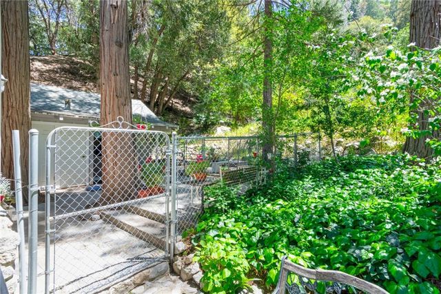 9091 Mountain View Drive, Forest Falls, CA 92339