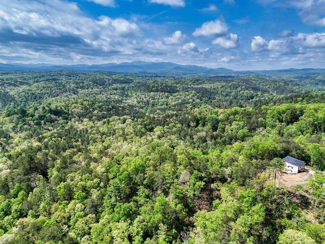 681 The Woods Road, Mineral Bluff, GA 30559