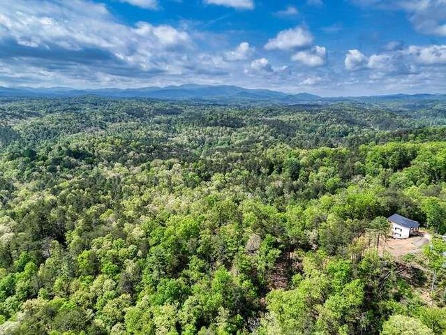 681 The Woods Road, Mineral Bluff, GA 30559