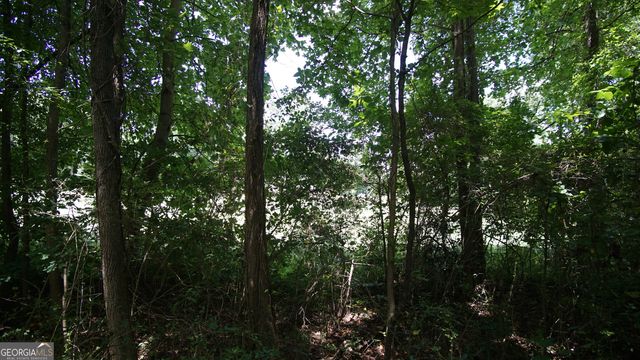 8163 Dearing Street, Covington, GA 30014