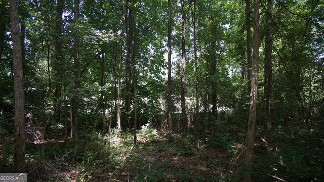 8163 Dearing Street, Covington, GA 30014