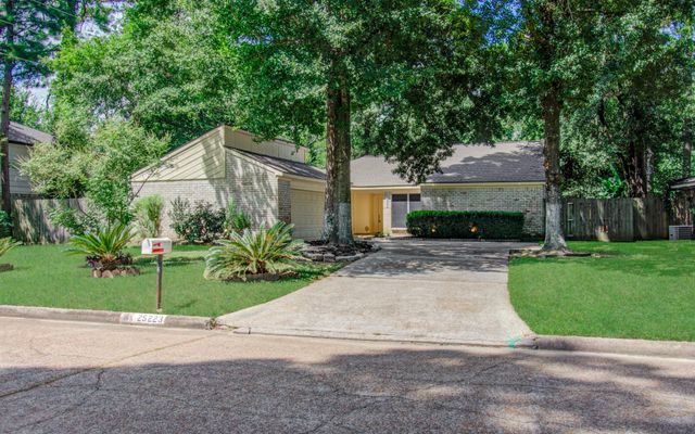 25223 Lynbriar Lane, Spring, TX 77373