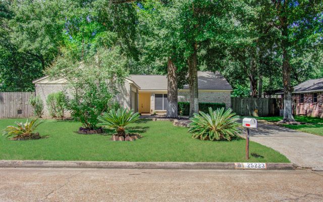 25223 Lynbriar Lane, Spring, TX 77373
