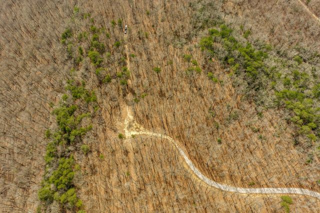 35290 Sr 30, Pikeville, TN 37367