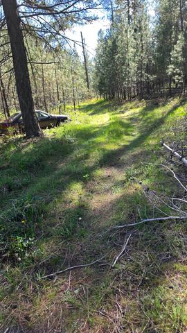 230XX N Crescent Rd, Colbert, WA 99005