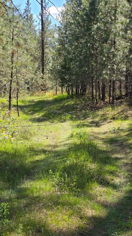 230XX N Crescent Rd, Colbert, WA 99005