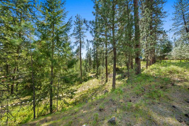 230XX N Crescent Rd, Colbert, WA 99005
