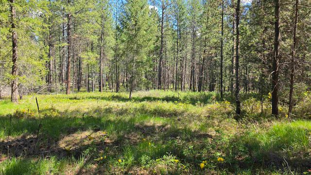 230XX N Crescent Rd, Colbert, WA 99005
