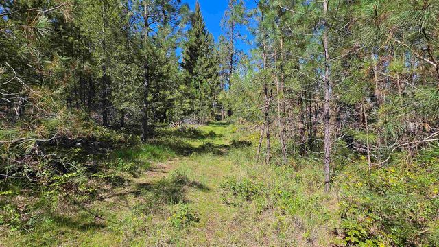230XX N Crescent Rd, Colbert, WA 99005
