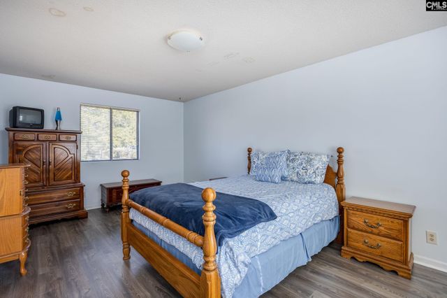 190 Hunter Drive, Chapin, SC 29036