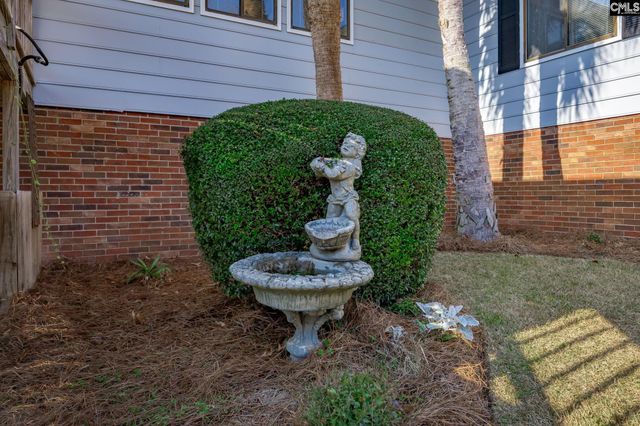 190 Hunter Drive, Chapin, SC 29036