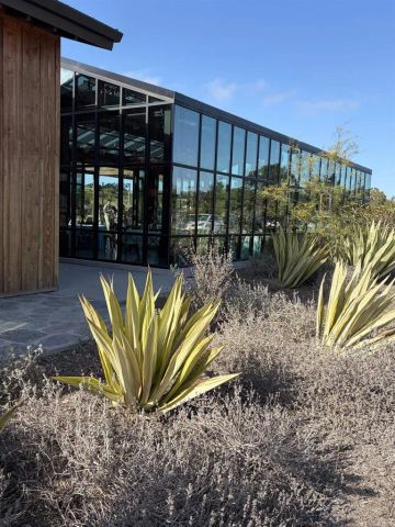 1105 Catania Court 203, Encinitas, CA 92024