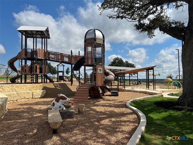 229 Rightfield Drive, Liberty Hill, TX 78642