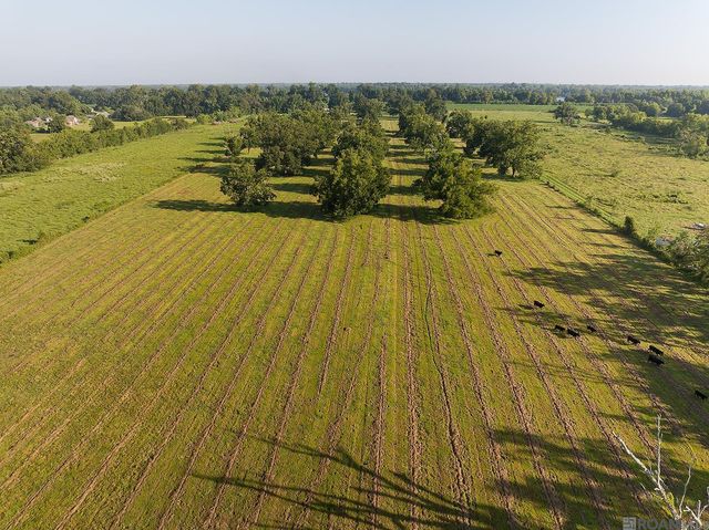 725 River Road Drive, Sunshine, LA 70780