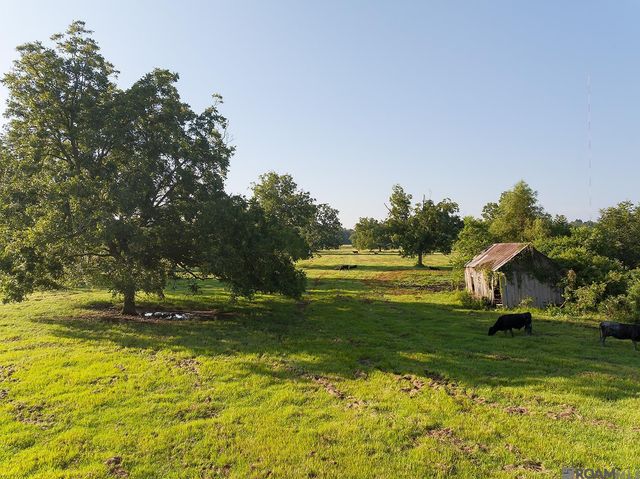 725 River Road Drive, Sunshine, LA 70780