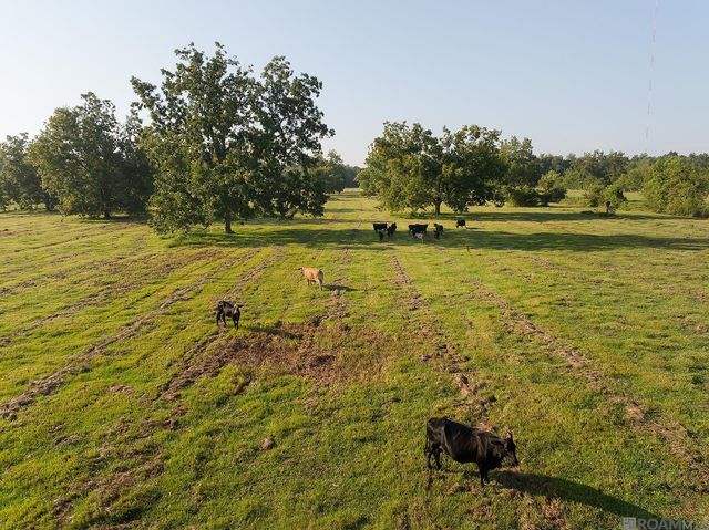 725 River Road Drive, Sunshine, LA 70780
