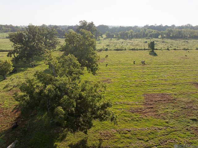 725 River Road Drive, Sunshine, LA 70780
