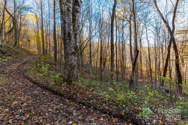 TBD Appaloosa Trail, Waynesville, NC 28785