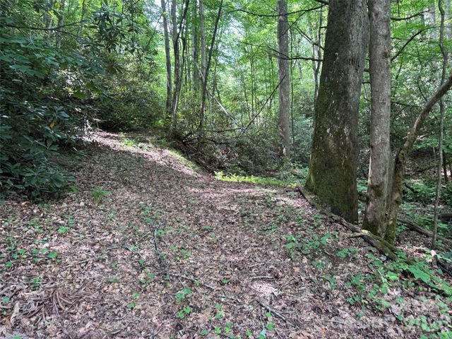 10A Reserve Road, Brevard, NC 28768