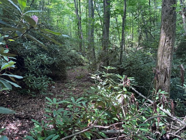 10A Reserve Road, Brevard, NC 28768