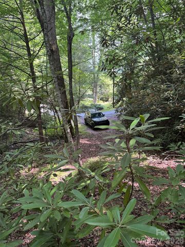 10A Reserve Road, Brevard, NC 28768