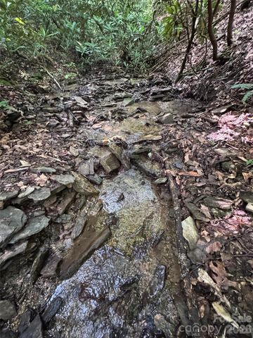 10A Reserve Road, Brevard, NC 28768