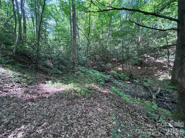 10A Reserve Road, Brevard, NC 28768