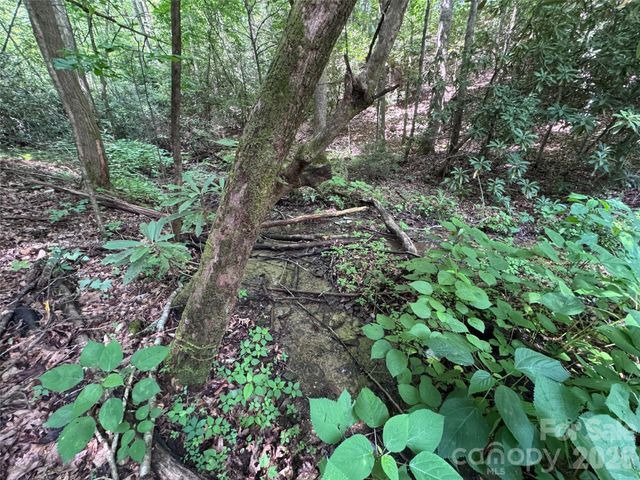 10A Reserve Road, Brevard, NC 28768