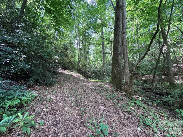 10A Reserve Road, Brevard, NC 28768