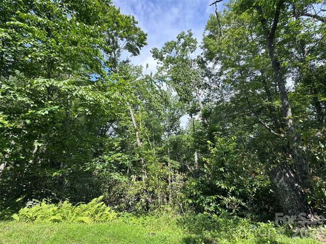 10A Reserve Road, Brevard, NC 28768