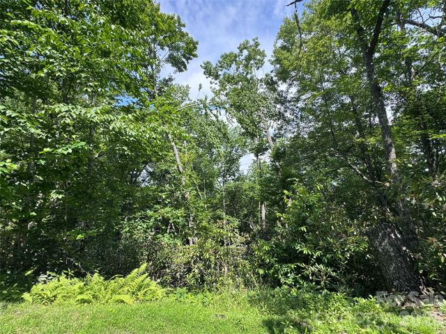 10A Reserve Road, Brevard, NC 28768