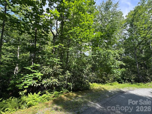 10A Reserve Road, Brevard, NC 28768