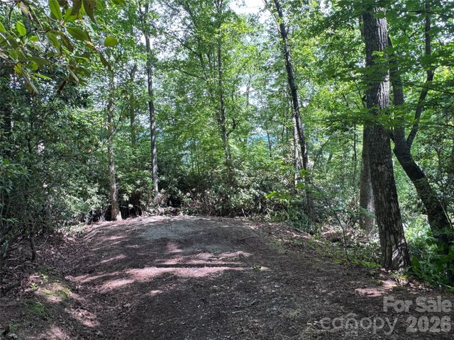 10A Reserve Road, Brevard, NC 28768