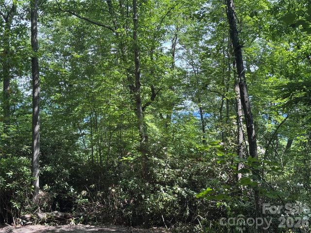 10A Reserve Road, Brevard, NC 28768