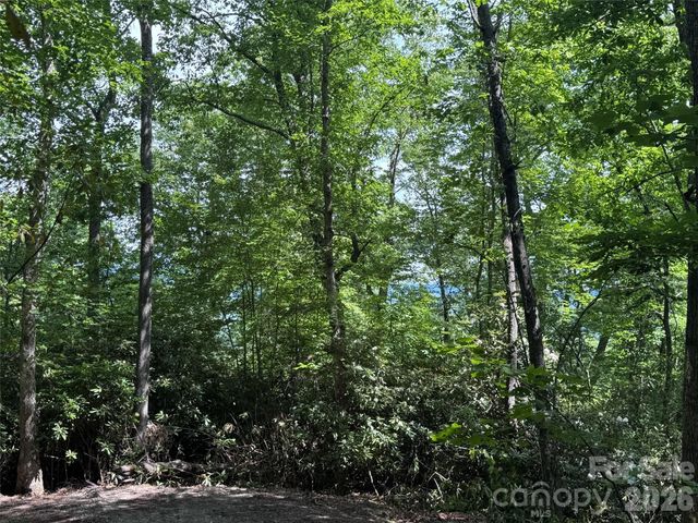 10A Reserve Road, Brevard, NC 28768