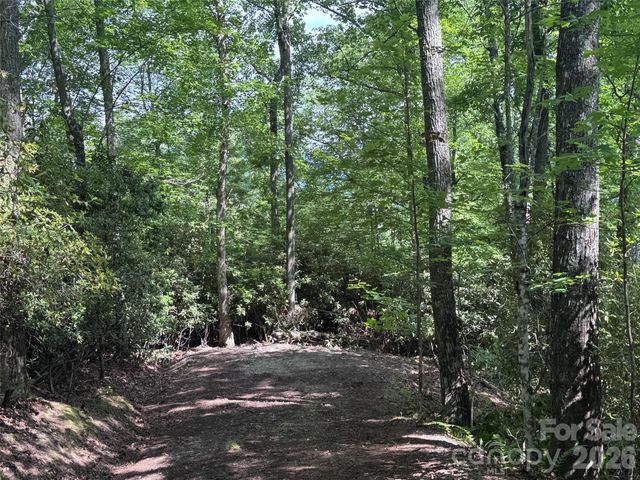 10A Reserve Road, Brevard, NC 28768