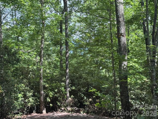 10A Reserve Road, Brevard, NC 28768