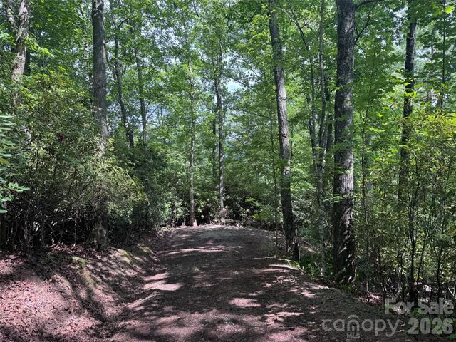 10A Reserve Road, Brevard, NC 28768