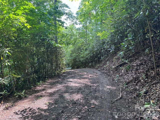 10A Reserve Road, Brevard, NC 28768