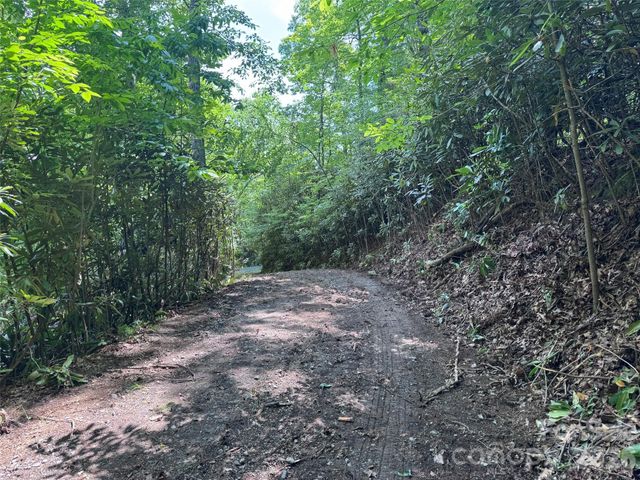 10A Reserve Road, Brevard, NC 28768