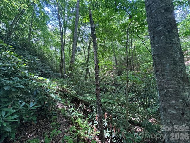 10A Reserve Road, Brevard, NC 28768
