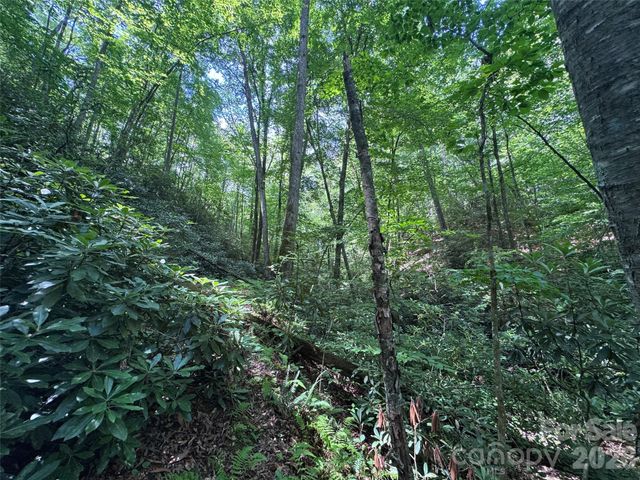 10A Reserve Road, Brevard, NC 28768