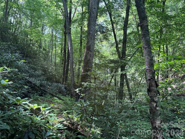 10A Reserve Road, Brevard, NC 28768